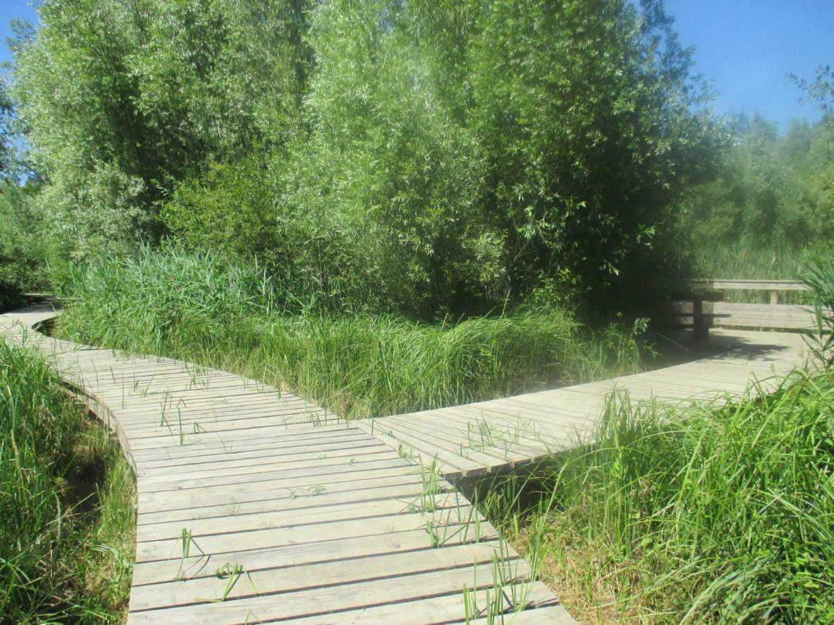 Couleurs Loire Bed & Breakfast Molineuf Екстериор снимка